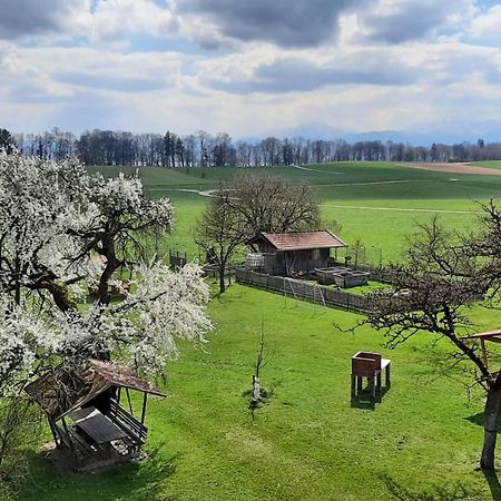 Ferienwohnungen Loisenhof Гштадт-ам-Кимзее Экстерьер фото