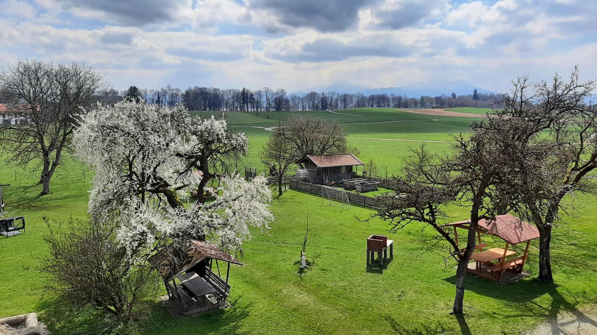 Ferienwohnungen Loisenhof Гштадт-ам-Кимзее Экстерьер фото